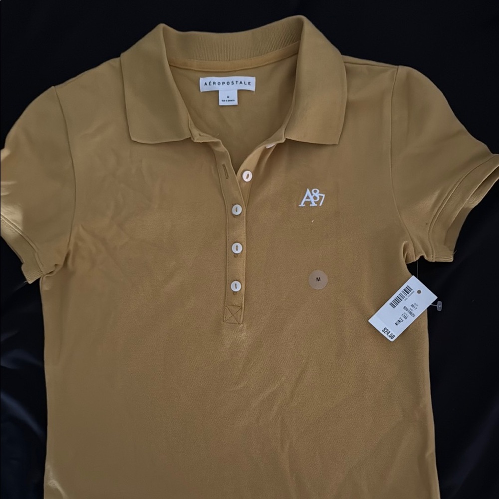 Aeropostale Brown Fitted Polo Button Down Shirt